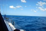 Barbuda i horisonten
